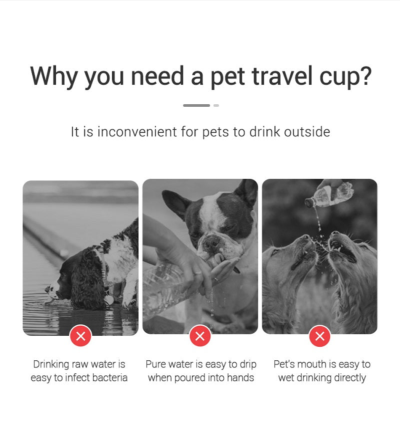 • TailUP – Gourde pour animaux