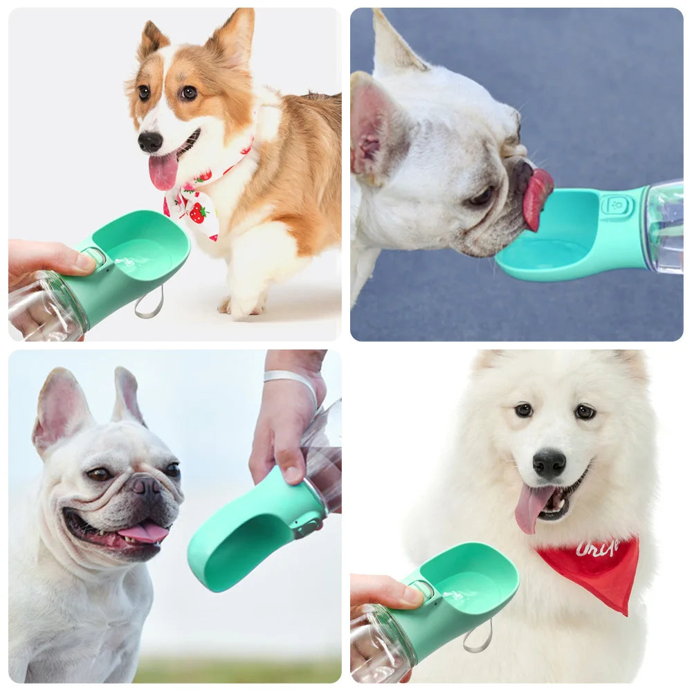 • TailUP – Gourde pour animaux