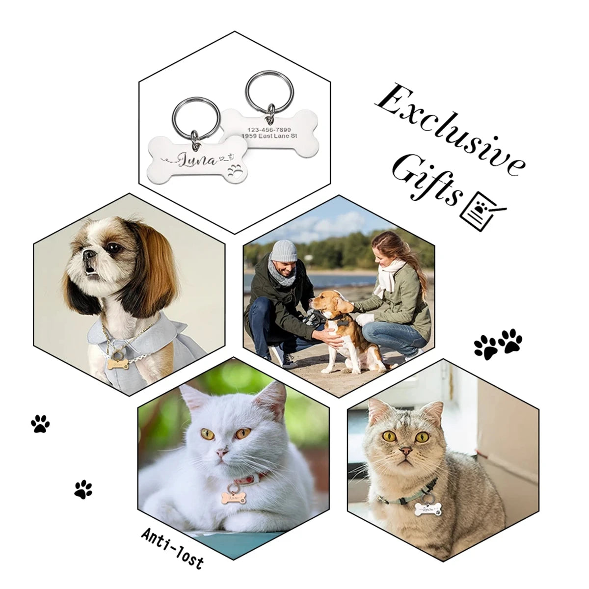 • TailUP – Médaille personnalisée pour chien